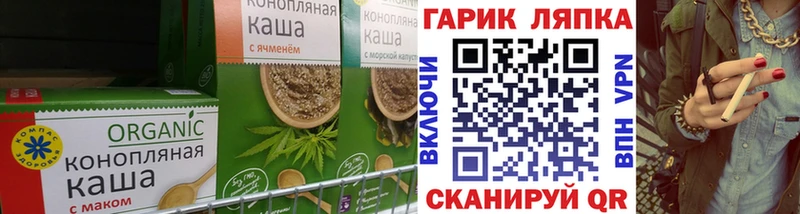 MEGA как войти  купить наркоту  Петрозаводск  Еда ТГК марихуана 
