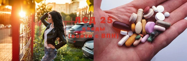 прущий лед Вяземский