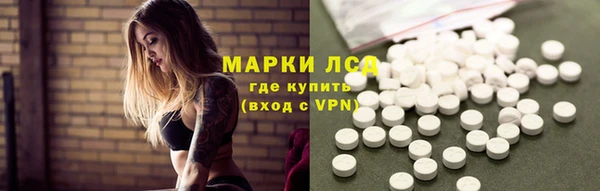 прущий лед Вяземский
