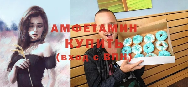 прущий лед Вяземский