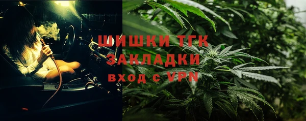 прущий лед Вяземский