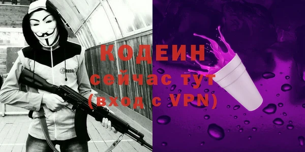 прущий лед Вяземский