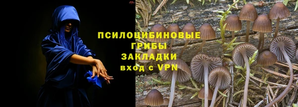 прущая мука Вязьма